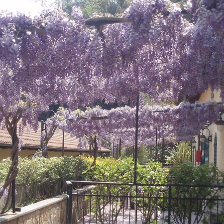 Hotel Lago Bin Rocchetta Nervina Kültér fotó