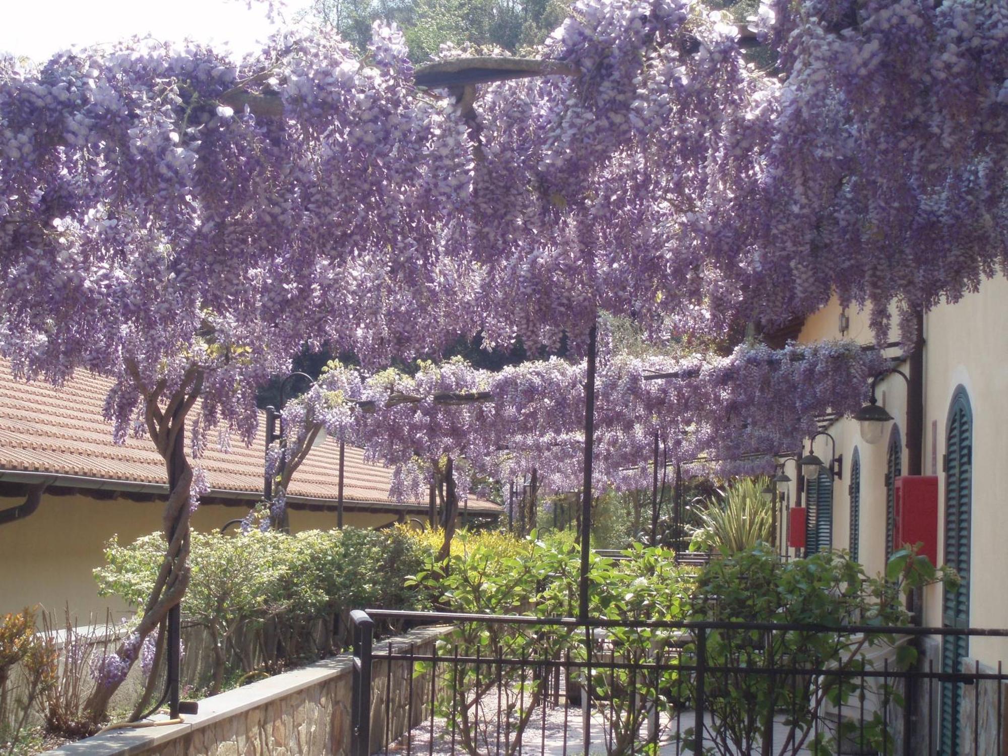 Hotel Lago Bin Rocchetta Nervina Kültér fotó